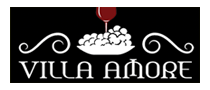 Villa Amore Italian Restaurant Delivery Menu - With Prices - Lincoln Nebrask